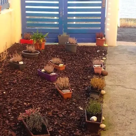 Studio In With Wonderful Sea View Furnished Garden And Wifi 500 M From The Beach * Ault