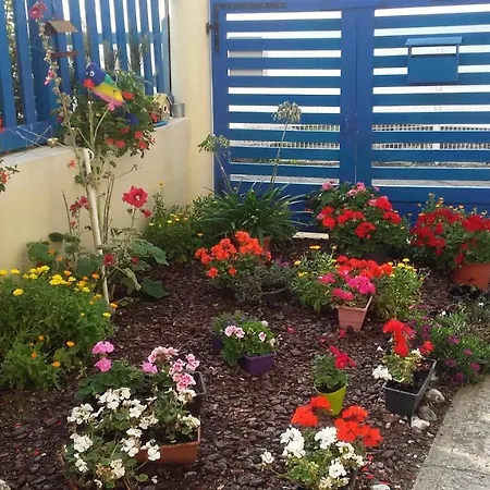 Studio In With Wonderful Sea View Furnished Garden And Wifi 500 M From The Beach شقة أولت